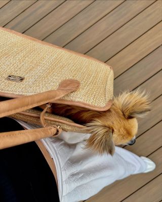 Leto je v plnom prúde ☀️ a bez štýlových doplnkov to jednoducho nejde! 🌴 Naša slamená kolekcia je ideálna na letné...