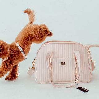 Štýlová ružová taška, ktorá doladí tvoj outfit a postará sa o pohodlie psíka. 💖🐾 #purrzo #fashionpet #dogbag