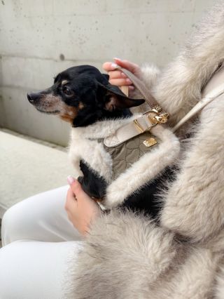 Tento mäkučký zimný postroj s kožušinkou je ideálny na chladné prechádzky a zahreje aj v tej najväčšej zime. Je pohodlný,...